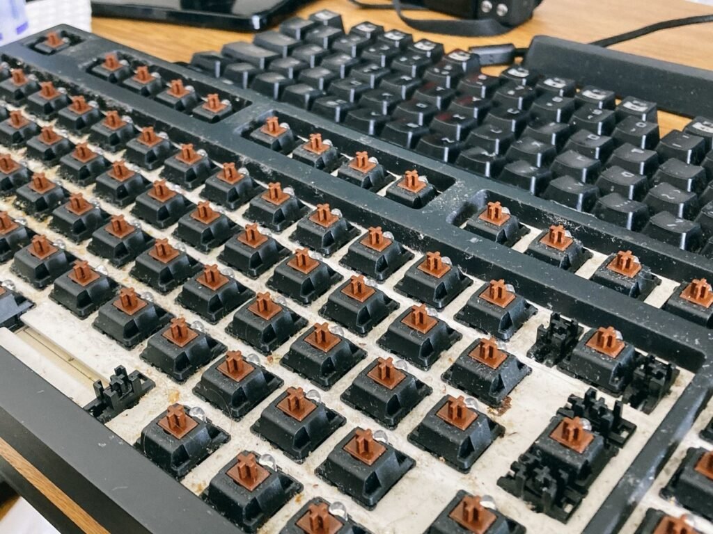 Mechanical keyboard with all keycaps removed, showing the switches and plate